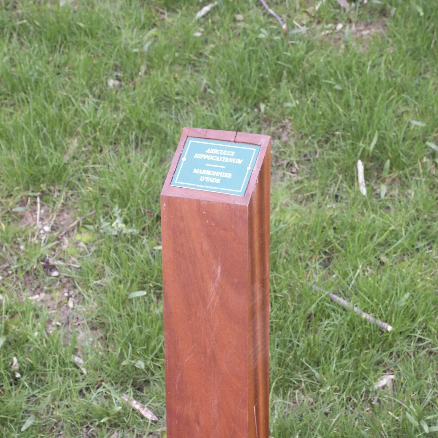 signalétique